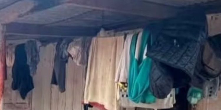 Rescatan a 19 paraguayos víctimas de explotación laboral en Brasil