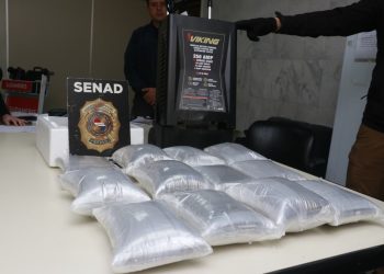 SENAD detecta marihuana oculta en juguetes y equipos industriales provenientes de EE. UU.