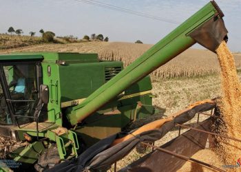 Paraguay encamina «súper zafra» récord de soja para 2026 impulsada por la zafriña