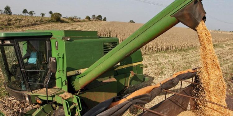 Paraguay encamina «súper zafra» récord de soja para 2026 impulsada por la zafriña