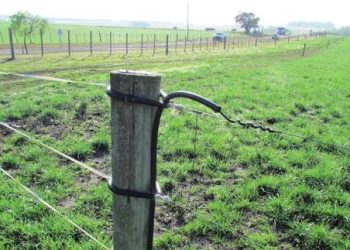 Imputada una mujer por la muerte de un hombre tras electrocutarse en el cerco de su vivienda