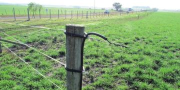 Imputada una mujer por la muerte de un hombre tras electrocutarse en el cerco de su vivienda