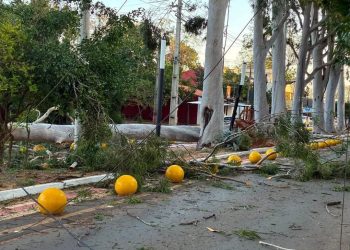 ANDE activa Código Amarillo y despliega cuadrillas ante fuertes ráfagas de viento
