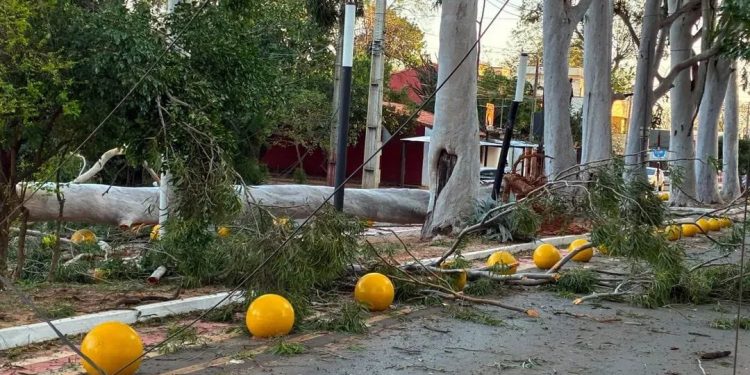 ANDE activa Código Amarillo y despliega cuadrillas ante fuertes ráfagas de viento