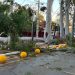 ANDE activa Código Amarillo y despliega cuadrillas ante fuertes ráfagas de viento