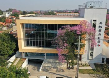 ANEAES publica listado oficial de carreras e instituciones admitidas para los procesos de acreditación
