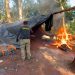 Desmantelan campamentos narco y eliminan más de 21 toneladas de marihuana