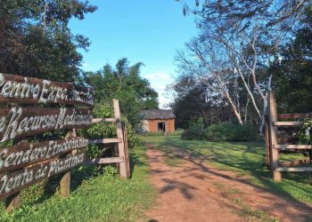 Vacaciones de invierno entre plantas medicinales y naturaleza