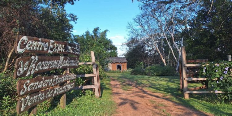 Vacaciones de invierno entre plantas medicinales y naturaleza