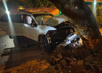 Un hombre murió tras perder el control e impactar contra un árbol