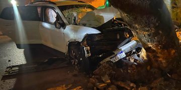 Un hombre murió tras perder el control e impactar contra un árbol