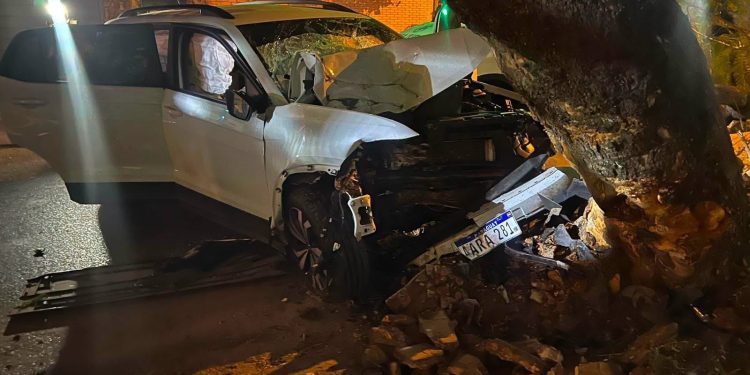 Un hombre murió tras perder el control e impactar contra un árbol