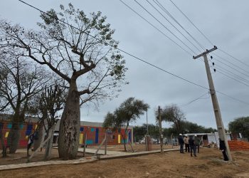Consumo de energía eléctrica creció al cierre del primer semestre