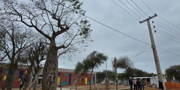 Consumo de energía eléctrica creció al cierre del primer semestre