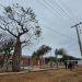 Consumo de energía eléctrica creció al cierre del primer semestre