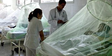 Paraguay atraviesa un período de baja circulación del dengue