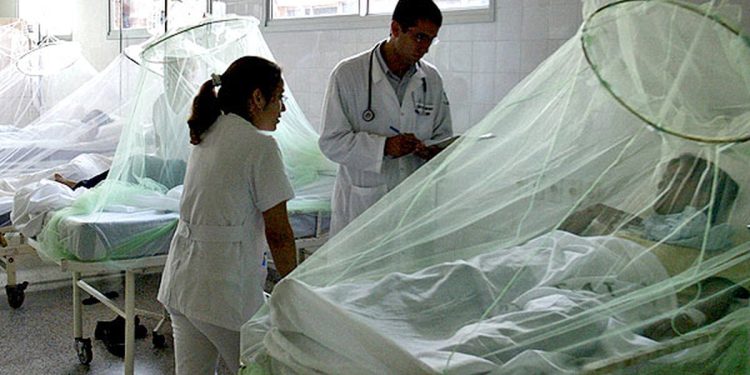 Paraguay atraviesa un período de baja circulación del dengue