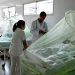 Paraguay atraviesa un período de baja circulación del dengue