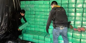 Desmantelan campamentos narco y eliminan más de 21 toneladas de marihuana