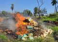 Destruyen más de 869 kilos de marihuana y otras drogas incautadas en Alto Paraná