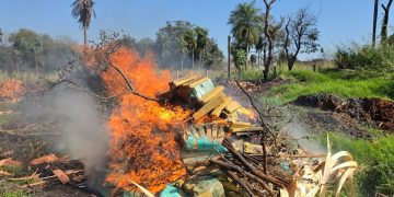Destruyen más de 869 kilos de marihuana y otras drogas incautadas en Alto Paraná