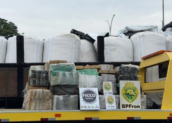 Marihuana entre arroz: decomisan 2.250 kilos de droga en peaje de Brasil