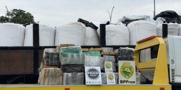 Marihuana entre arroz: decomisan 2.250 kilos de droga en peaje de Brasil