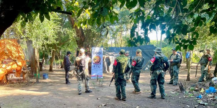 Concepción: Erradican 45 hectáreas de plantaciones de marihuana en la Reserva Paso Bravo