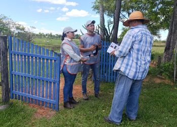 Boquerón lidera la gestión ganadera en el Chaco, según encuesta agropecuaria