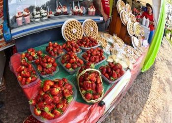 Cámara de Diputados declara de interés cultural y turístico la Expo Frutilla de Areguá