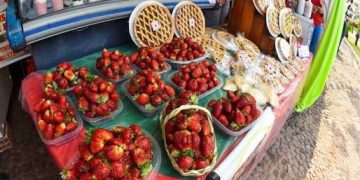 Cámara de Diputados declara de interés cultural y turístico la Expo Frutilla de Areguá