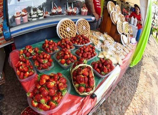 Cámara de Diputados declara de interés cultural y turístico la Expo Frutilla de Areguá