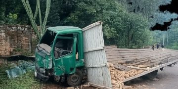 Intentó salvarse lanzándose de un camión sin frenos, pero murió en el lugar