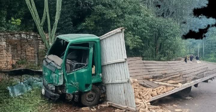 Intentó salvarse lanzándose de un camión sin frenos, pero murió en el lugar