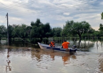 «El Niño» podría beneficiar al agro si las lluvias se distribuyen uniformemente
