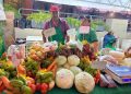 Pequeños productores tendrán su gran vitrina en la Expo Paraguay 2026