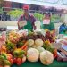 Pequeños productores tendrán su gran vitrina en la Expo Paraguay 2026