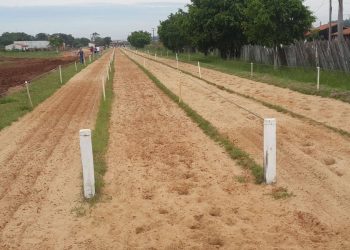 Investigan la muerte de un niño de 8 años tras caer de un caballo en una carrera en Caaguazú