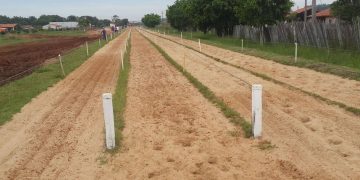 Investigan la muerte de un niño de 8 años tras caer de un caballo en una carrera en Caaguazú