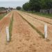 Investigan la muerte de un niño de 8 años tras caer de un caballo en una carrera en Caaguazú