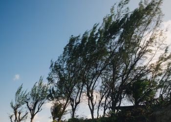 Meteorología emite alerta especial por vientos fuertes del norte con ráfagas que podrían superar los 80 km/h