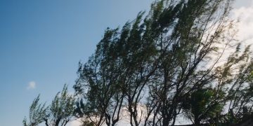 Meteorología emite alerta especial por vientos fuertes del norte con ráfagas que podrían superar los 80 km/h