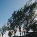 Meteorología emite alerta especial por vientos fuertes del norte con ráfagas que podrían superar los 80 km/h