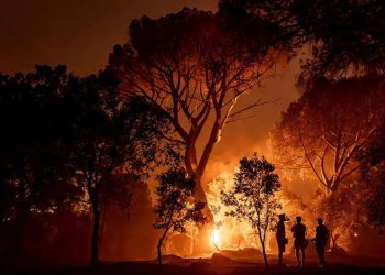 Ola de incendios forestales de gran magnitud asola a España