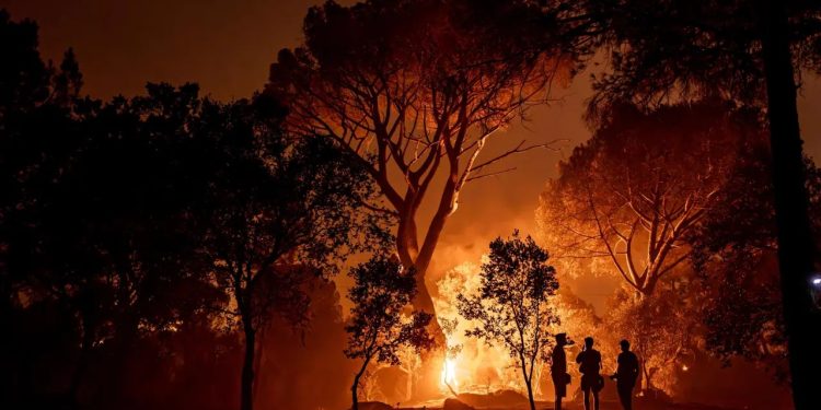 Ola de incendios forestales de gran magnitud asola a España