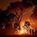 Ola de incendios forestales de gran magnitud asola a España