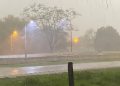 Madre e hijo mueren aplastados por un árbol durante temporal