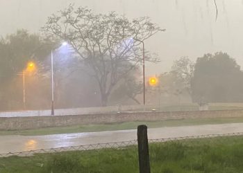 Madre e hijo mueren aplastados por un árbol durante temporal