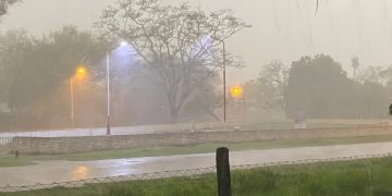 Madre e hijo mueren aplastados por un árbol durante temporal