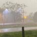 Madre e hijo mueren aplastados por un árbol durante temporal